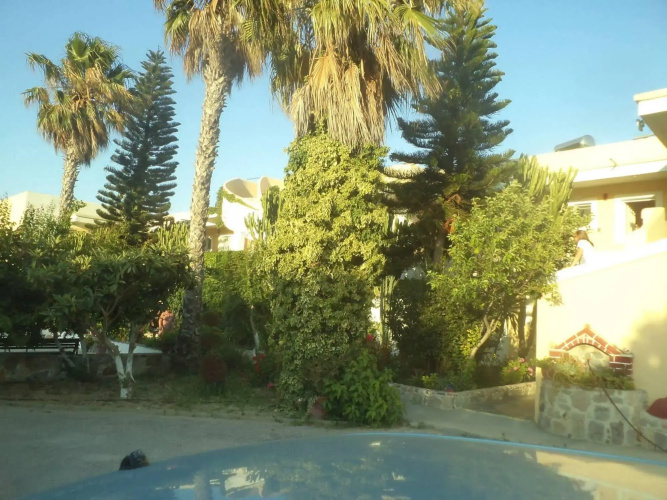 Afentoulis Studios 2