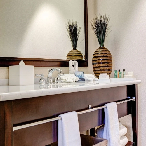 Presidential Double Suite