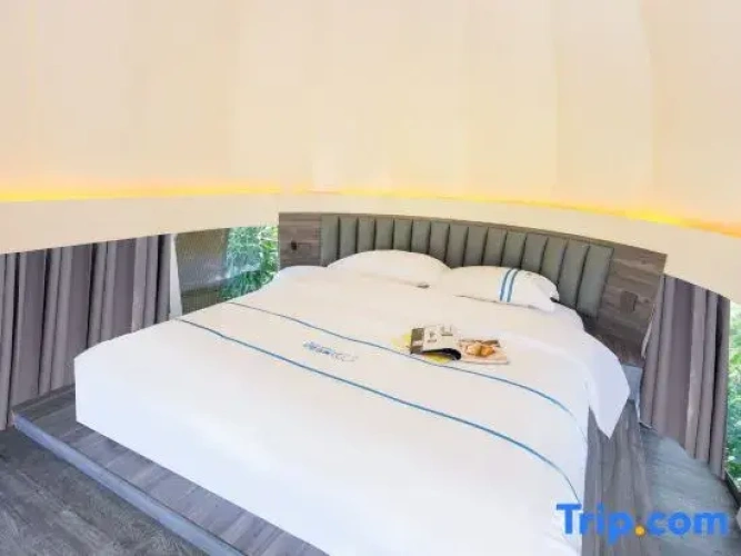 Standard Double room with pool view
