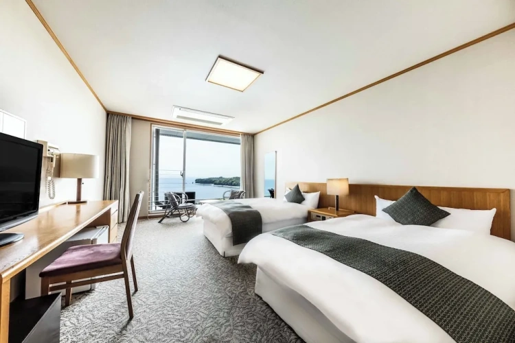 Standard Twin room with balcony and with sea view