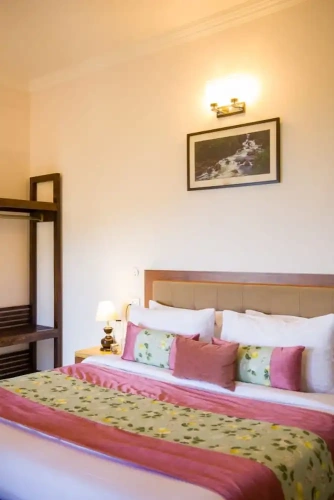 Deluxe Double room with city view
