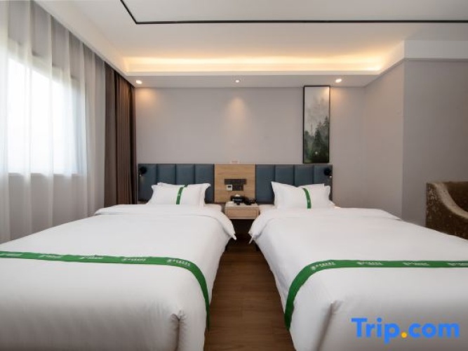 Standard Twin Family room