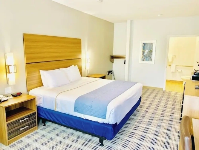 Deluxe Single room