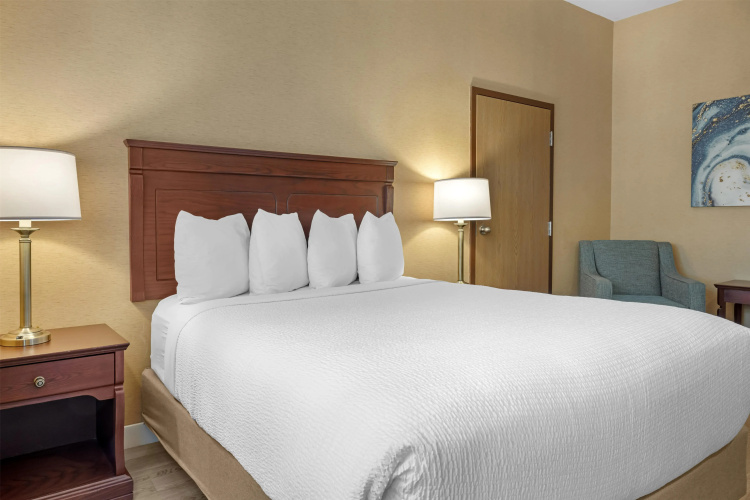 Best Western Plus Fredericton Hotel & Suites
