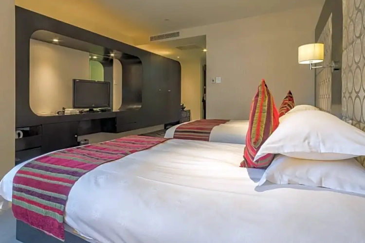 Executive Twin room with city view