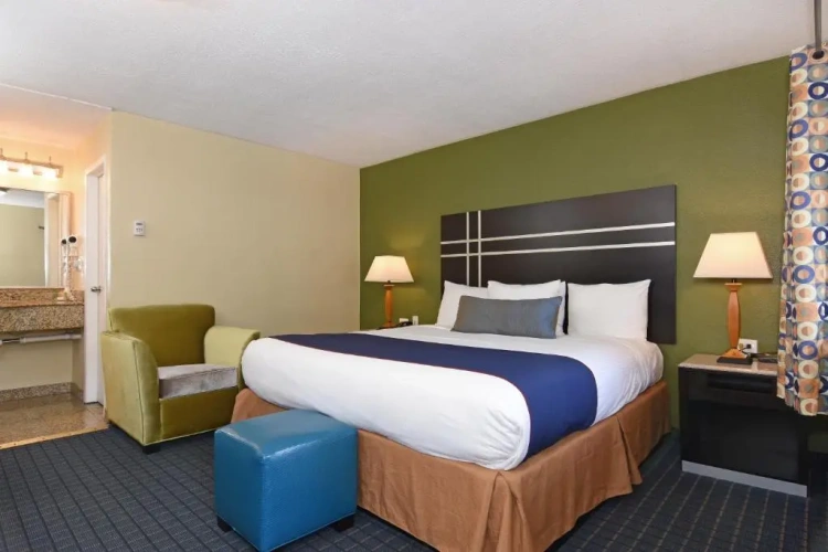 Standard Single room