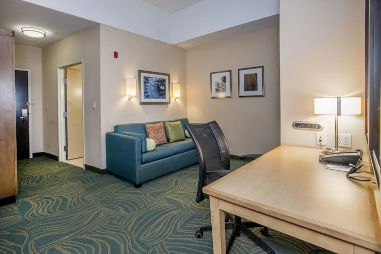 1 Bedroom Suite