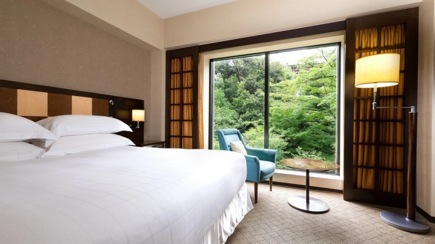 Deluxe Double Comfort Room