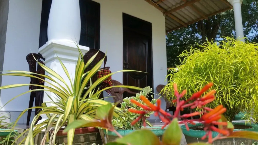 Fairview Dill homestay