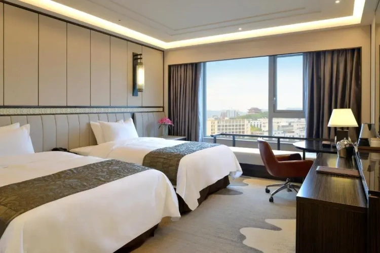 Deluxe Twin room with city view