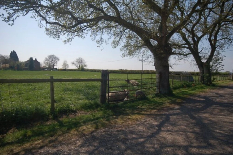 The Dairy
