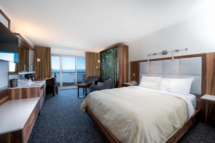 Superior room with balcony and with river view