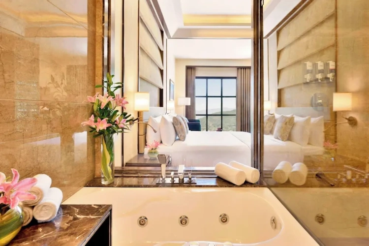 Standard Double room with mountain view