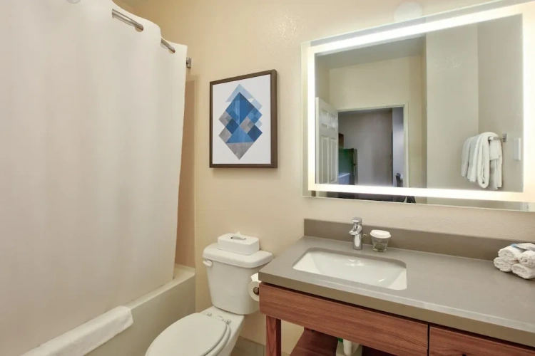 1 Bedroom Suite