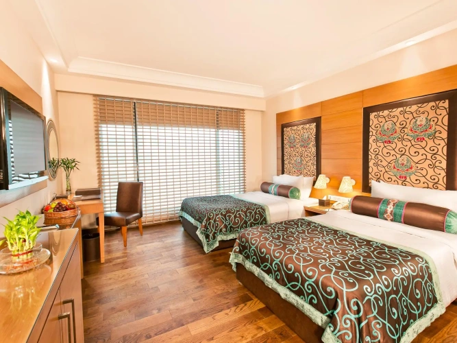 Luxury Twin room