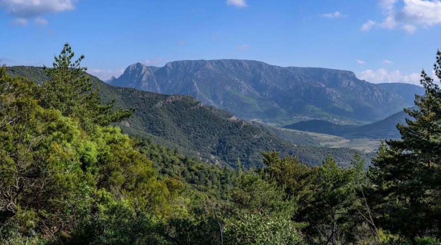 Farniente à Berlou
