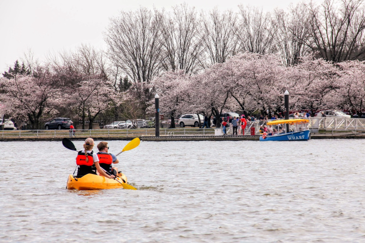 InterContinental Washington D.C. - The Wharf photo 38