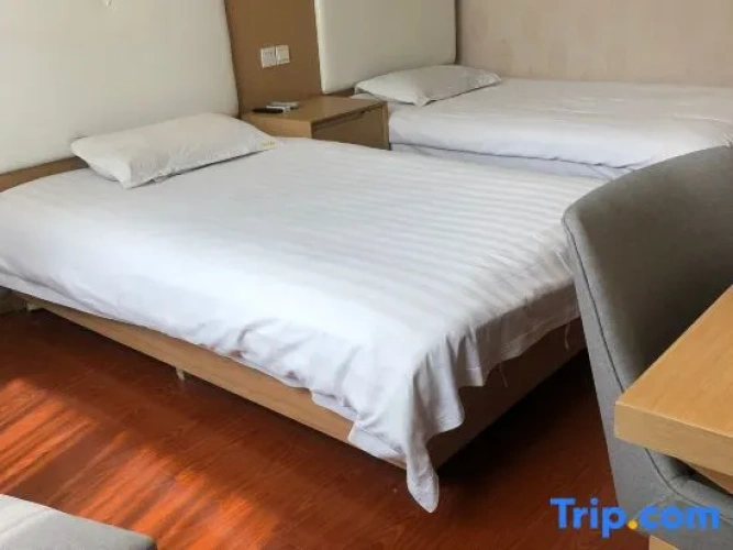 Standard Twin Family room