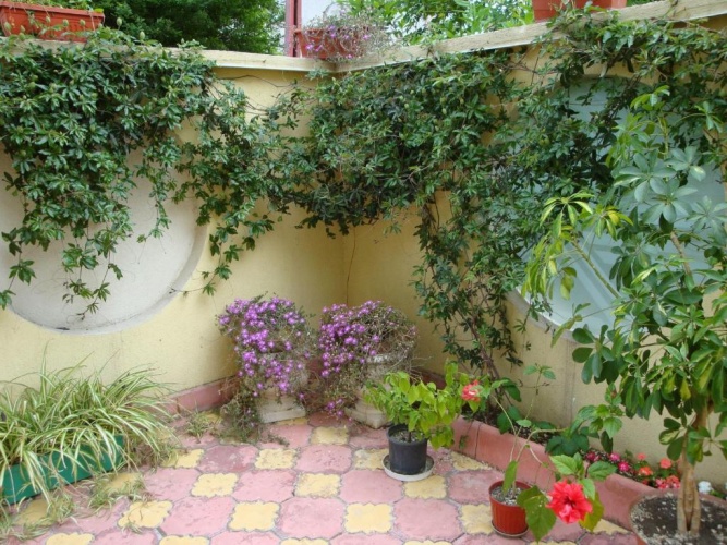 Standard Double room with balcony