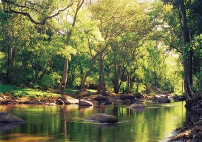 Kerala Wild Stay