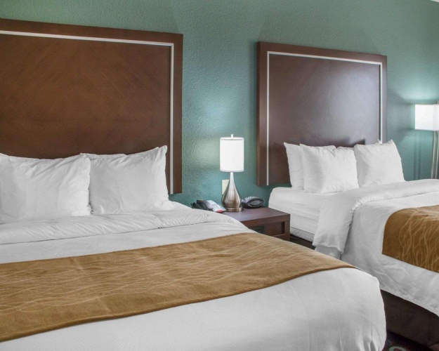 Quadruple Suite
