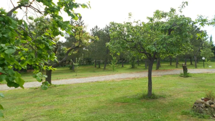 San Martin del Colle Holiday Home