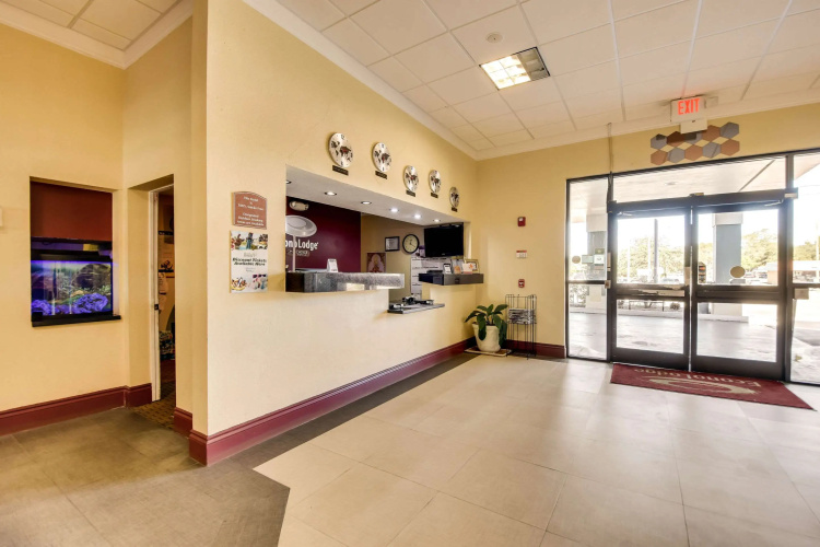 Econo Lodge Tampa near Busch Gardens