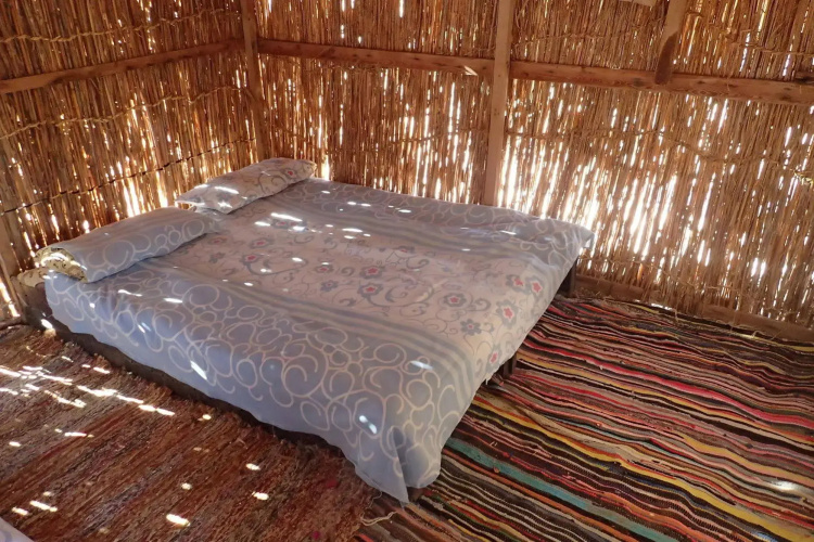 Bedouin Star (Ras shetan area)