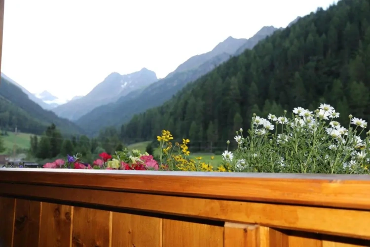 3 Bedrooms Apartment with balcony