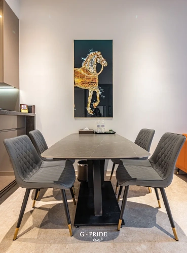 Luxury Apartment