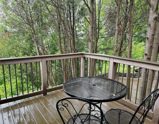 Deluxe room with balcony and with river view