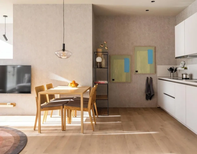 Luxury Double Apartment