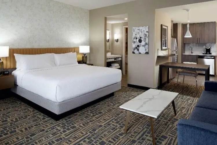 Double Studio Suite