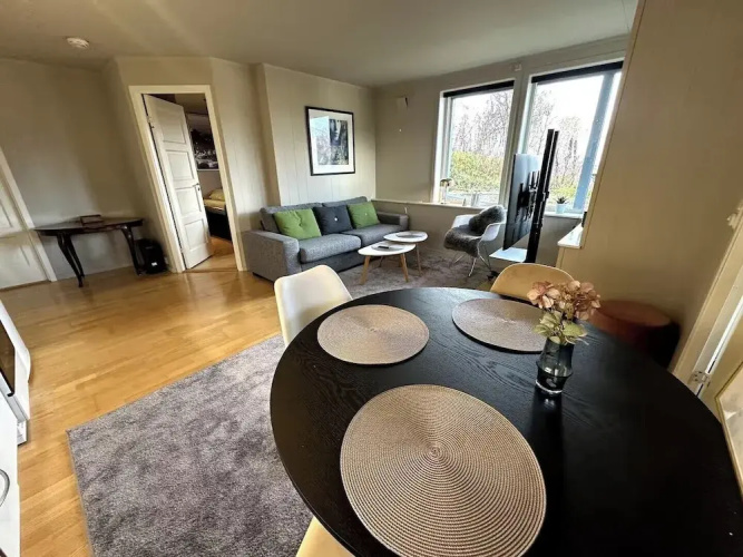 Aurora Borealis Apartment - Sleeps 3 - Parking