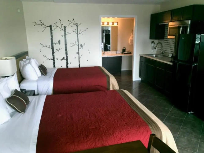 Standard Double room