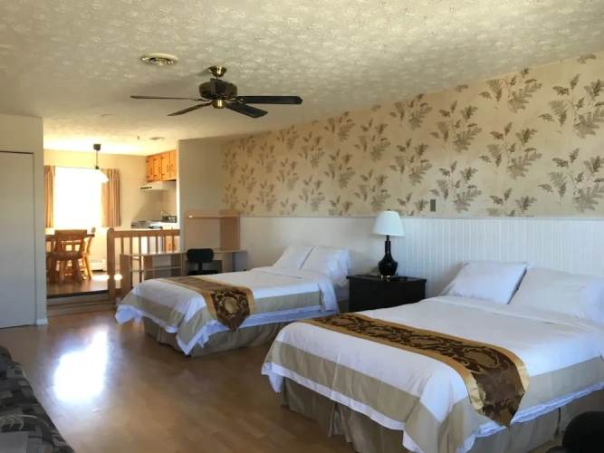 Standard Quadruple Family room