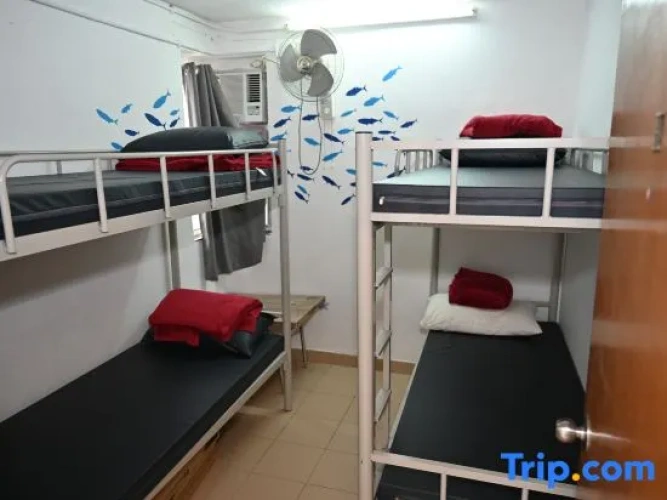 Bed in Dorm (male dorm)