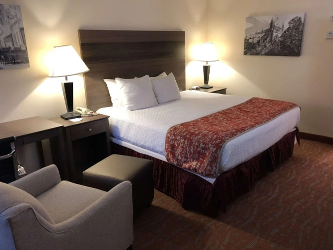 Standard Double room