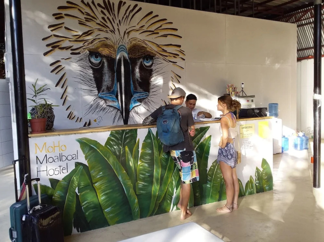 MoHo Moalboal Hostel