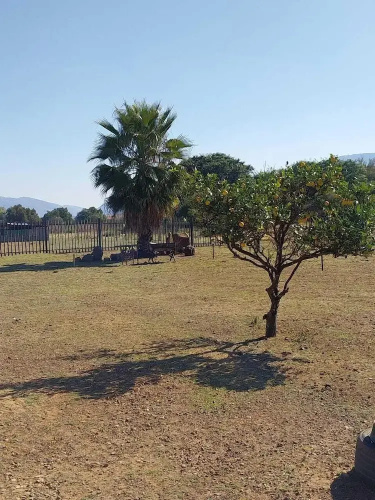 Sweetafrica lodge