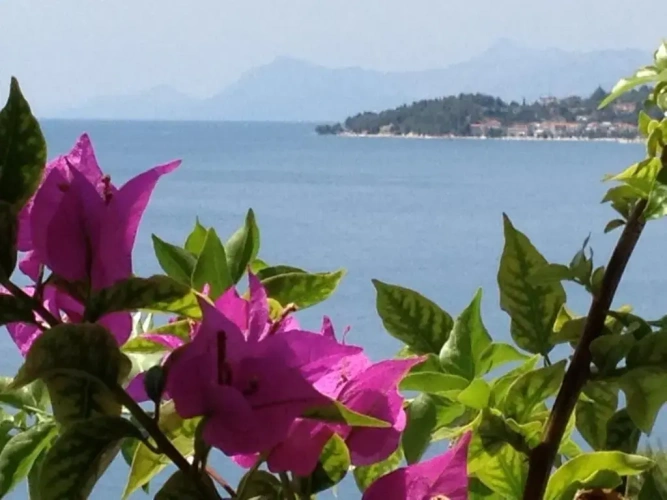 1 Bedroom Apartment with sea view