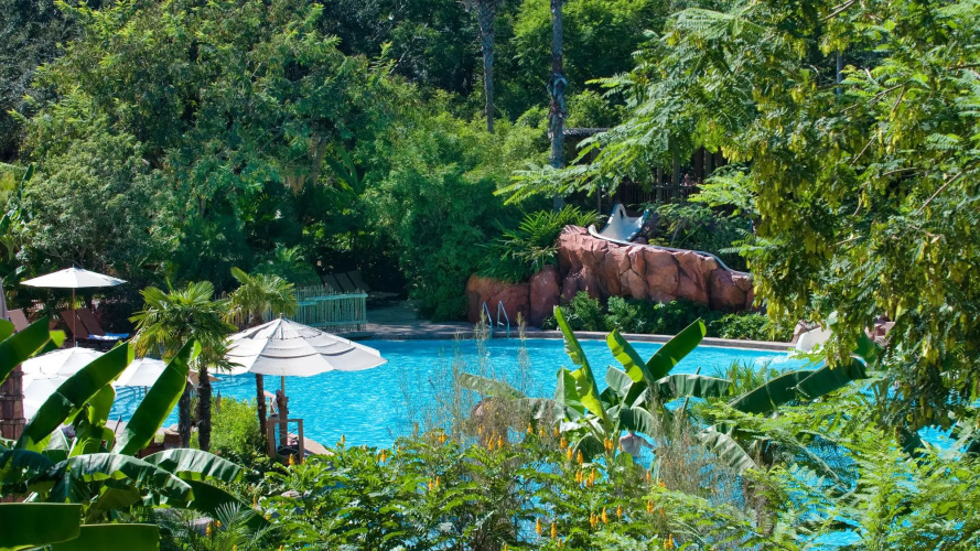 Disney's Animal Kingdom Villas - Kidani Village photo 14