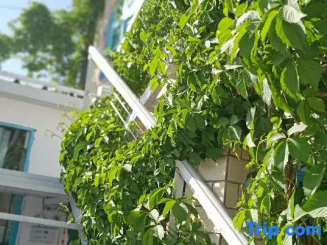 Stms Homestay
