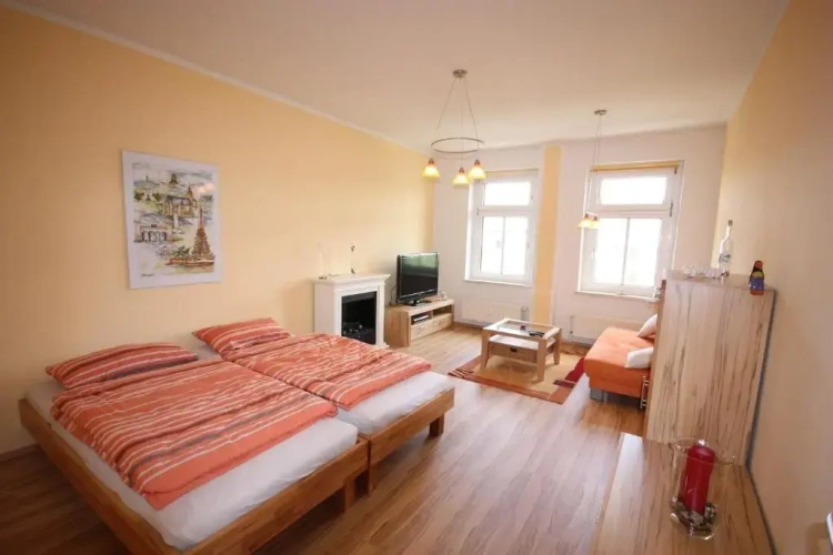 Standard Apartment