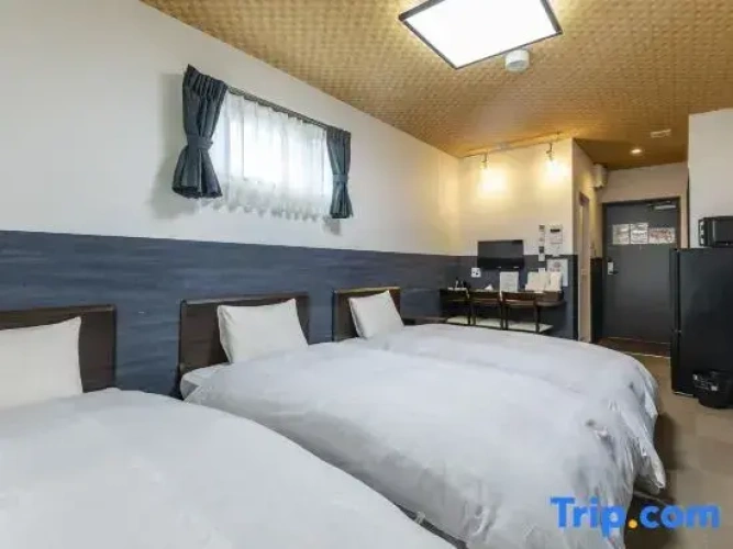 Standard Triple Family room