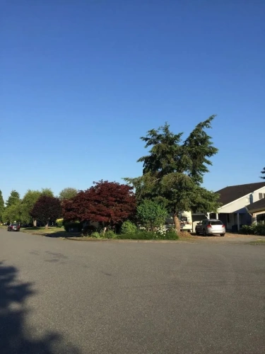 Outside