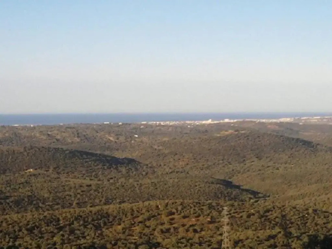 Casa Adega - Quinta Amoreira