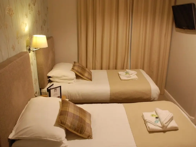 Standard Twin room with garden view