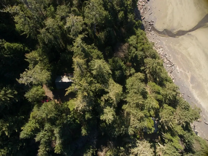 The Cedar House