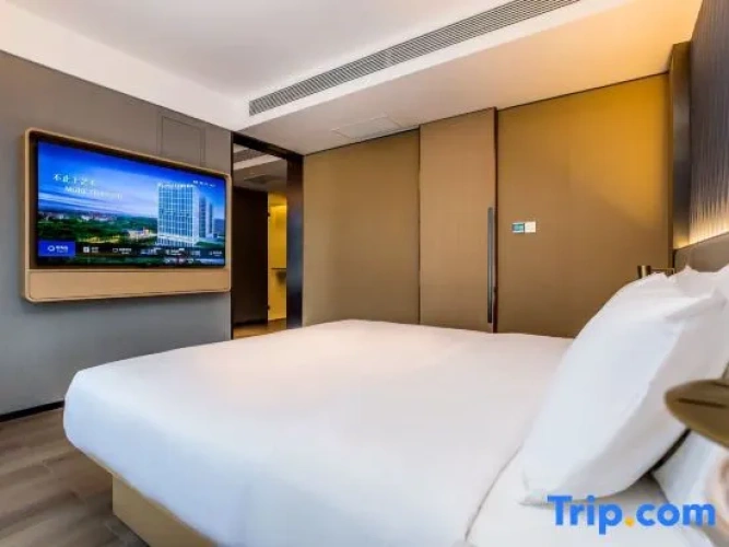Executive Double Suite